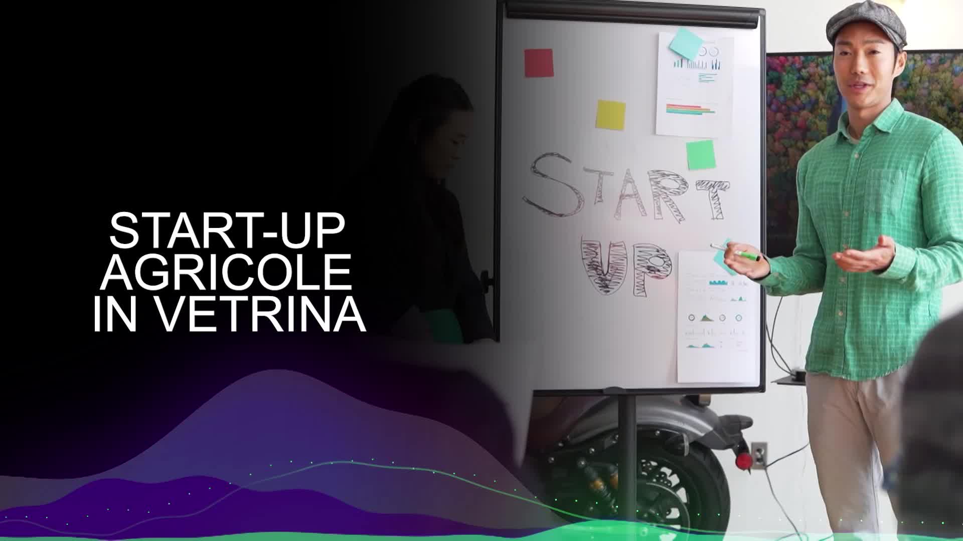 Startup – Madonnino 2024